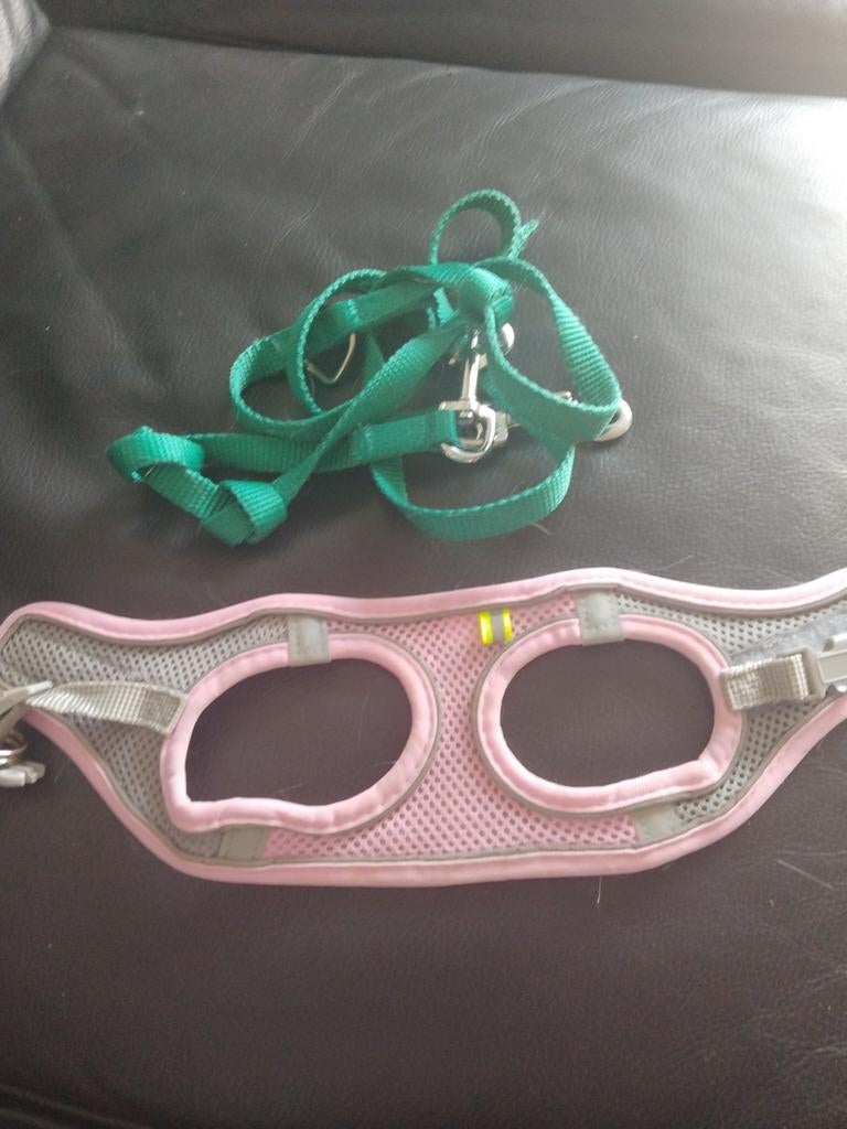 Kattentuigje  met riem (XS), Dieren en Toebehoren, Katten-accessoires, Ophalen, Gebruikt