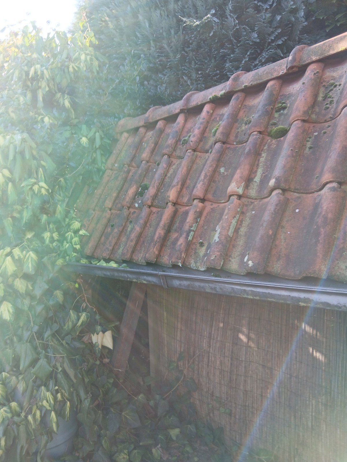 oud hollandse dakpannen, Doe-het-zelf en Verbouw, Ophalen, Steen of Klei, 15 m² of meer, Dakpannen