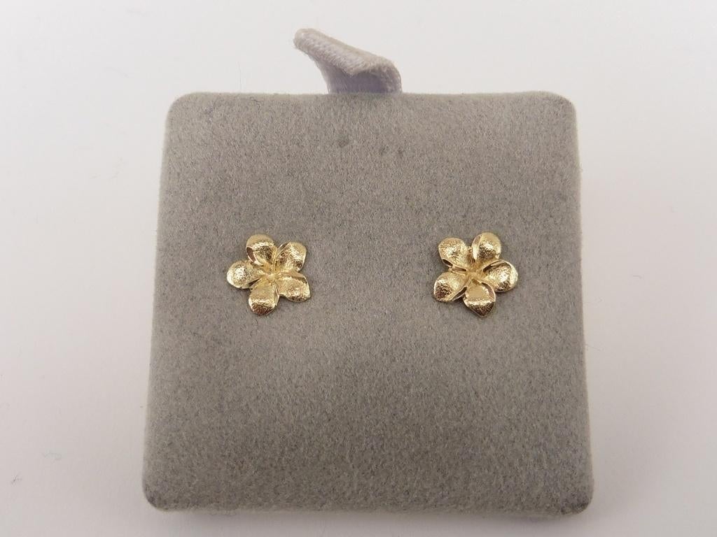 Gouden oorknopjes                                       G127, Gebruikt, ., Ophalen of Verzenden, .