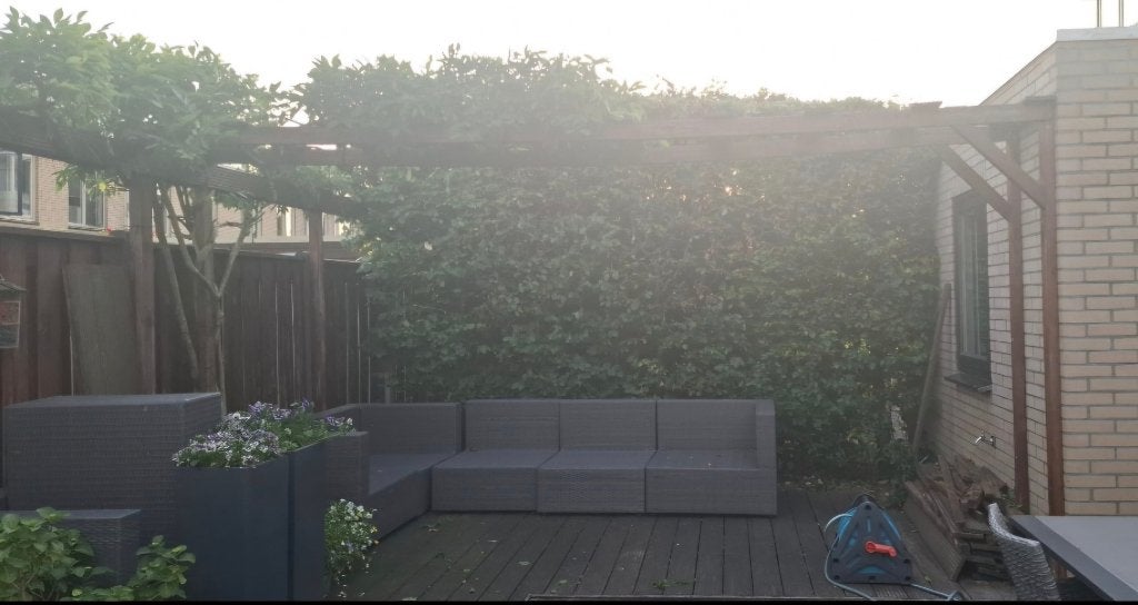 Haag verwijderen, Tuin en Terras, Ophalen, Liguster, Haag, Minder dan 100 cm