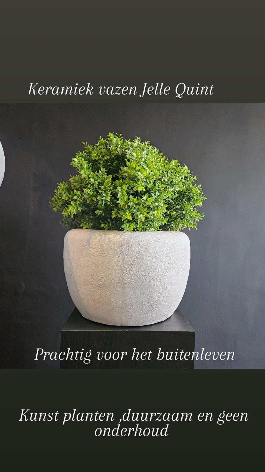 MOOIE KUNST BUXUS XXL, Kunststof, Rond, Ophalen of Verzenden, Zo goed als nieuw