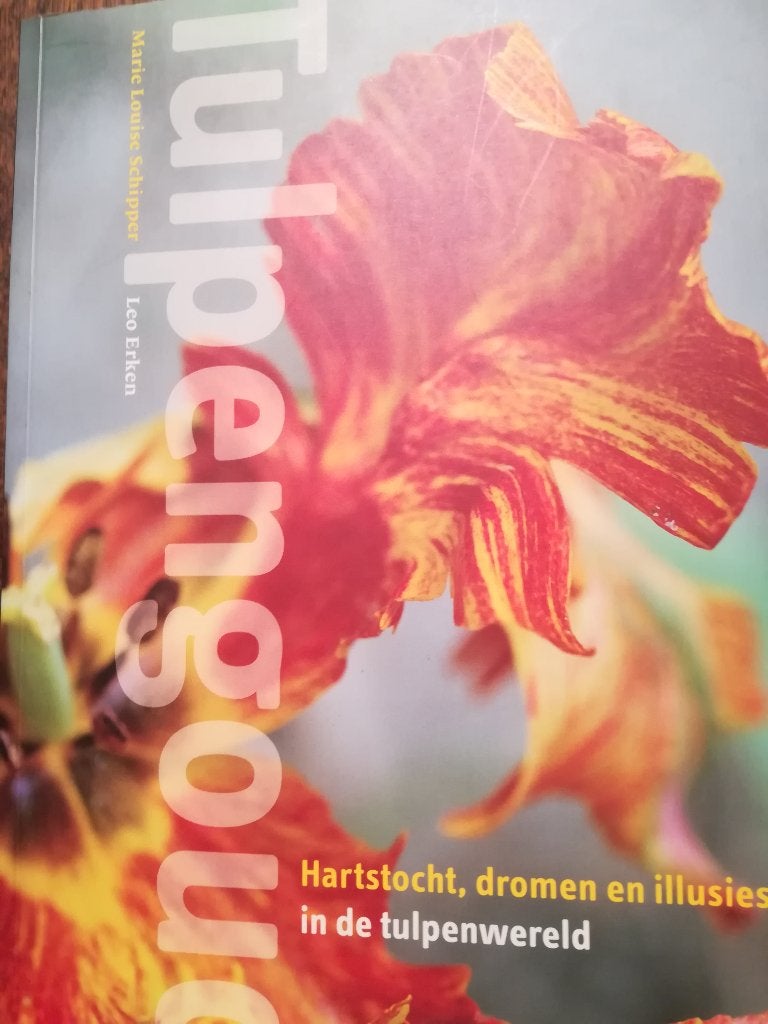 tulpengoud, hartstocht, dromen en illusies: ML Schipper, Ophalen of Verzenden, Zo goed als nieuw, Kunst en Cultuur