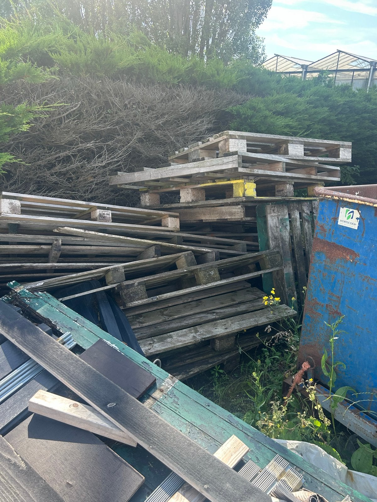 Diverse gebruikte pallets en hout gratis af te halen!, Ophalen, Gebruikt, 50 mm of meer, Pallet