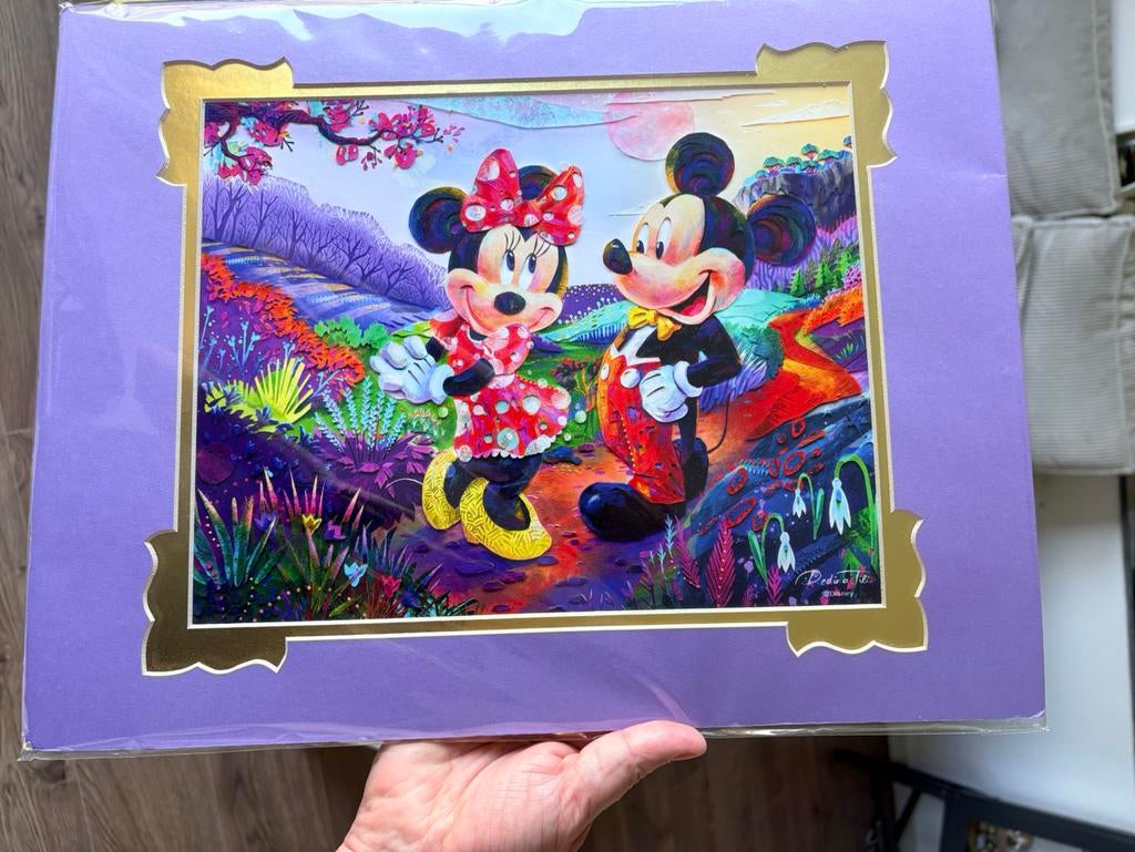 Disney art festival 2026 epcot litho., Ophalen