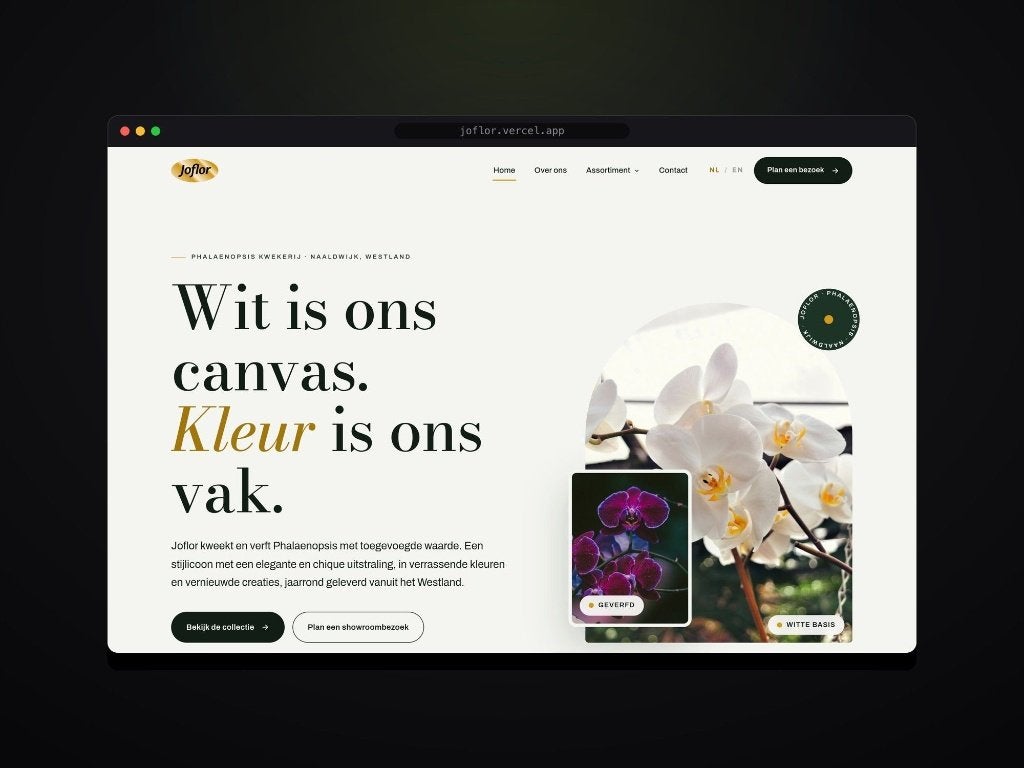 GRATIS website concept | eerst zien, dan beslissen, Webdesign