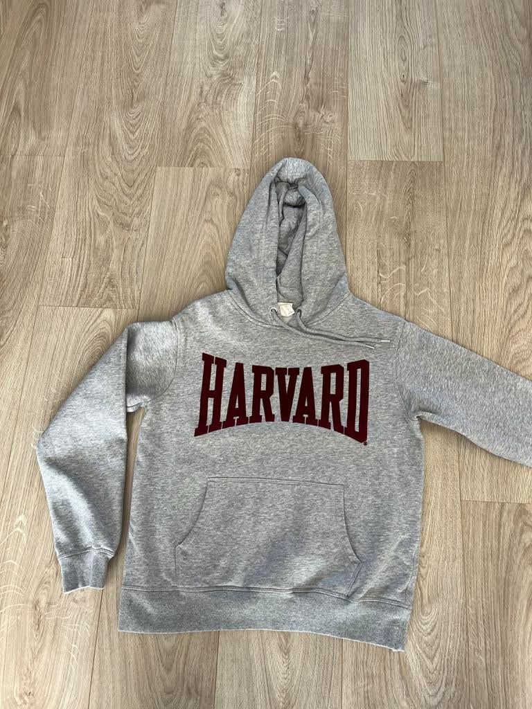 H&M Grijze Hoodie Maat S met Harvard Print, Ophalen, Gedragen, Maat 36 (S), Grijs