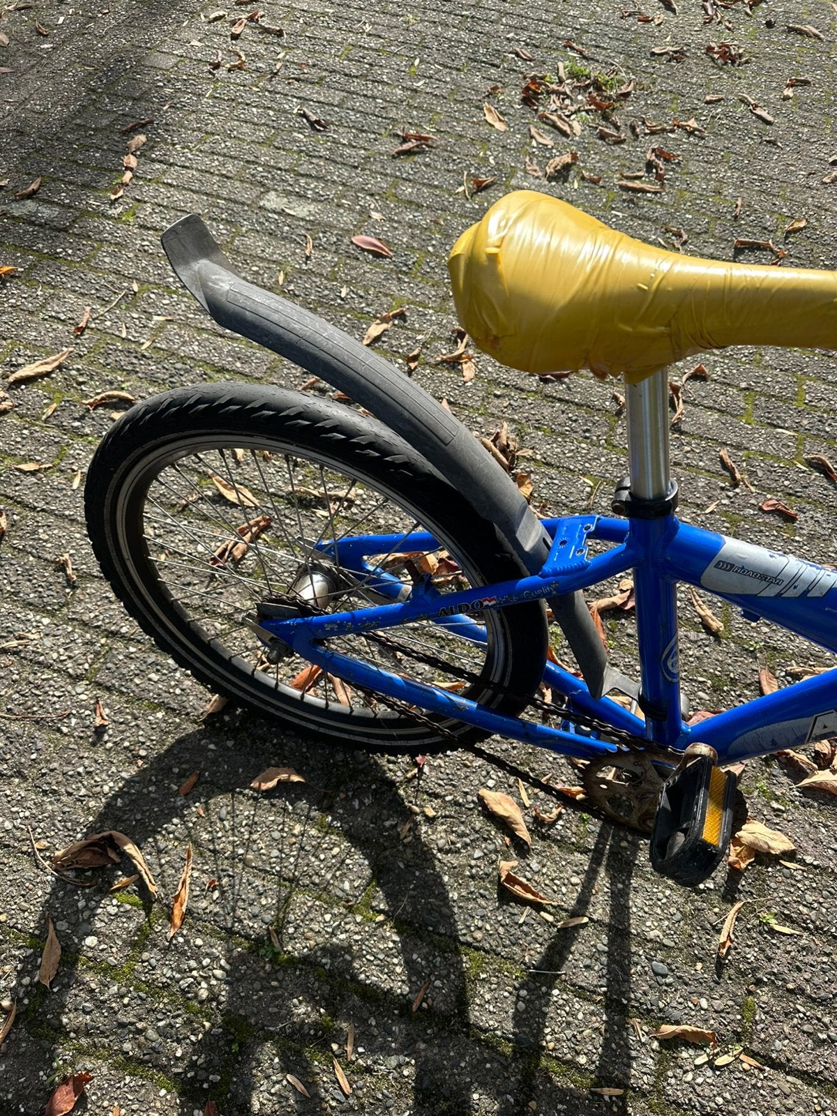 Aldo kinderfiets 20 inch, blauw, met voorvering
