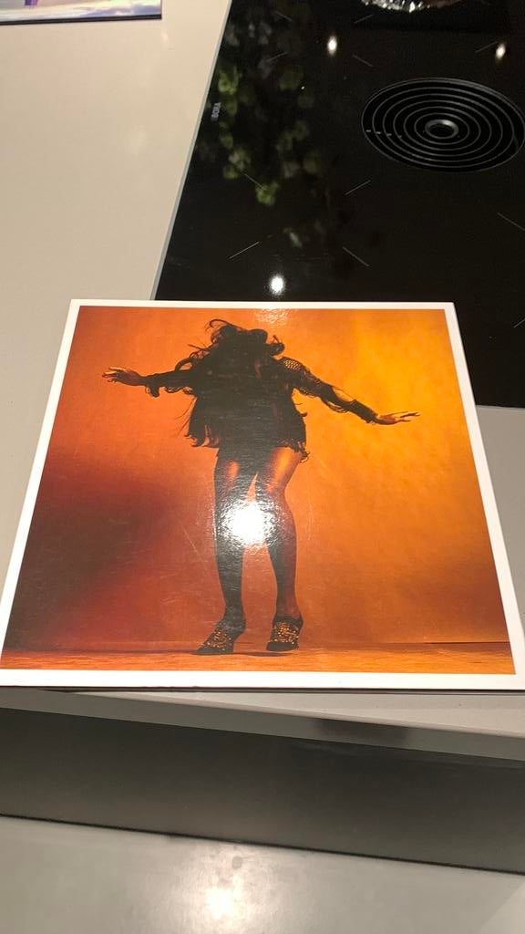Lp The last shadows puppets Everything you’ve come to expect, Ophalen