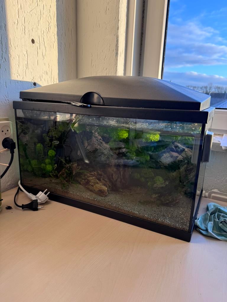 60l aquarium compleet, Dieren en Toebehoren, Ophalen, Gebruikt, Gevuld zoetwateraquarium