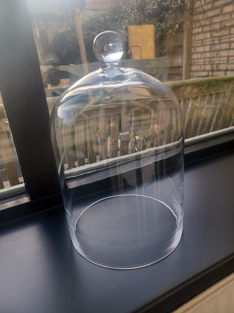 Glazen stolp - 30 cm hoog, Ophalen, Zo goed als nieuw