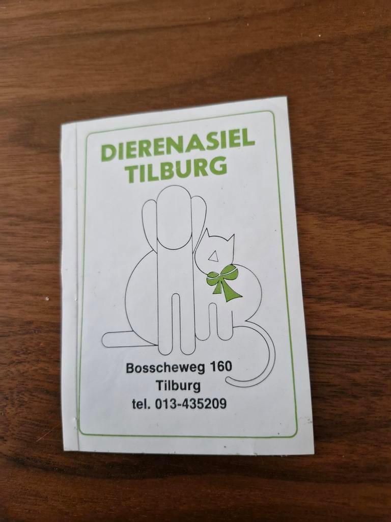 5912 sticker Dierenasiel Tilburg, Ophalen of Verzenden
