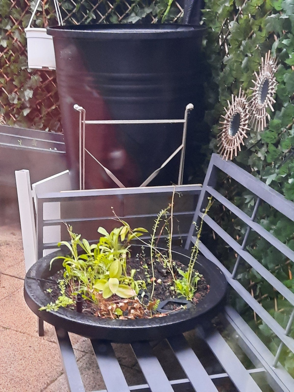 Reventon xl elho inclusief aansluiting voor op de regenpijp, Tuin en Terras, 150 liter of meer, Ophalen of Verzenden, Zo goed als nieuw