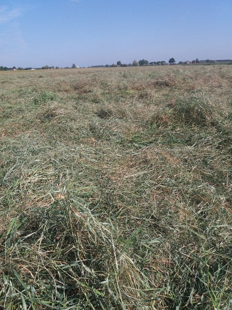 Kleine balen hooi suikerarm, Dieren en Toebehoren, Dierenvoeding, Ophalen of Verzenden, Vee