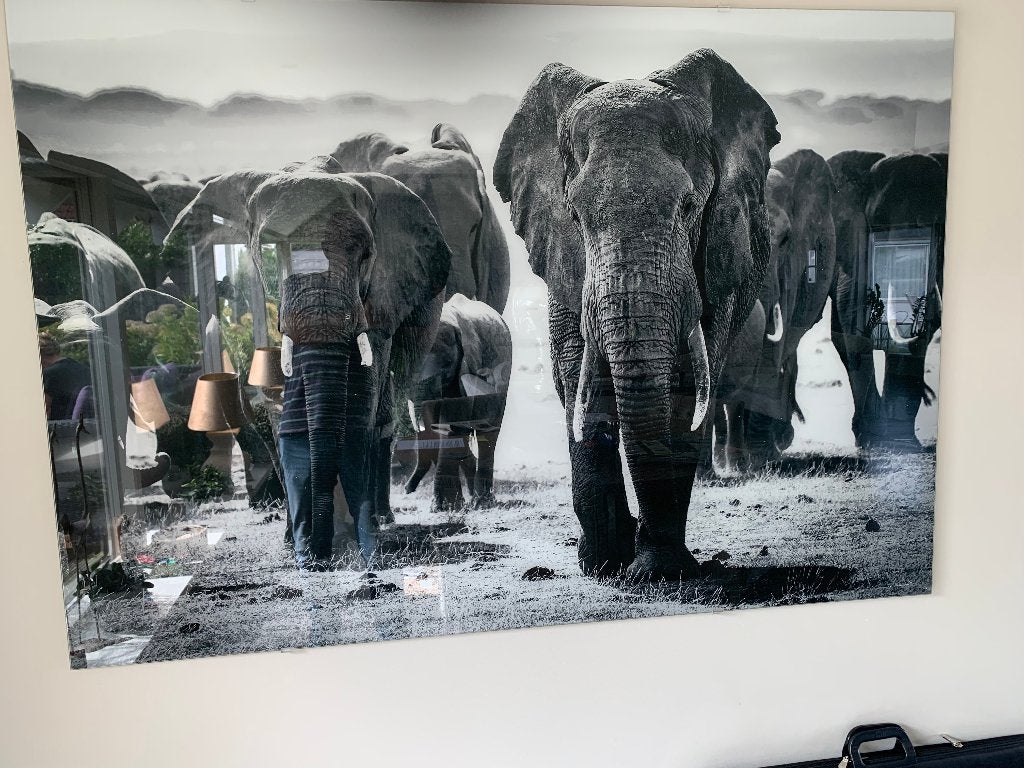 Wanddecoratie "Olifanten", Ophalen, 125 cm of meer, Zo goed als nieuw, Foto of Poster