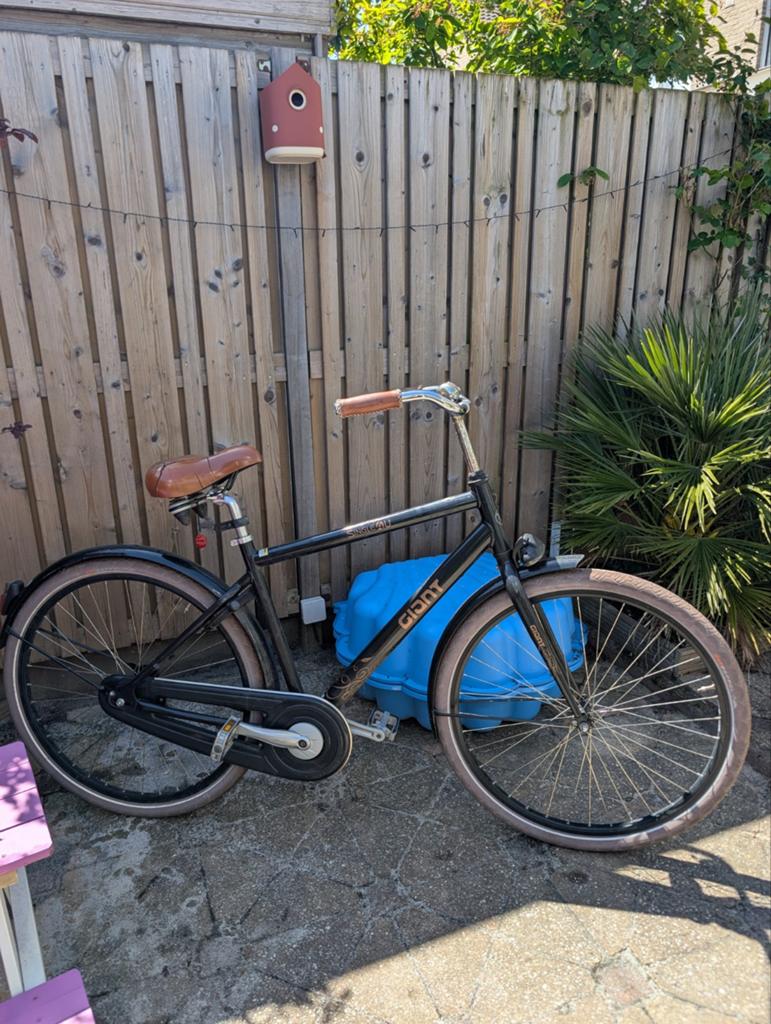 Giant Single4u Stadsfiets - Opknapper, Ophalen, Gebruikt, Velgrem, Giant