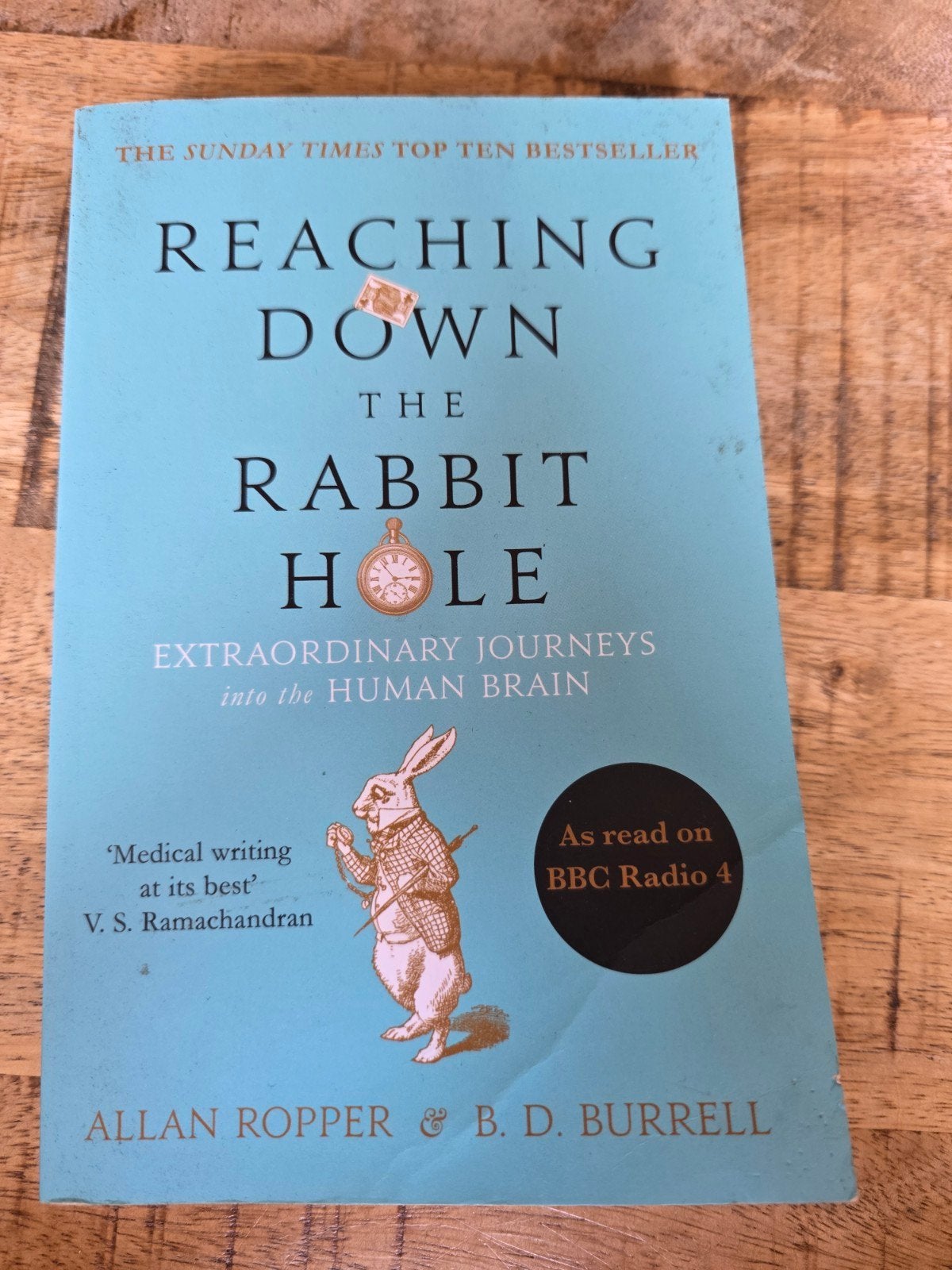 Reaching Down the Rabbit Hole, Ophalen of Verzenden, Zo goed als nieuw, Cultuurfilosofie, Allan Ropper, Brian David Burrell