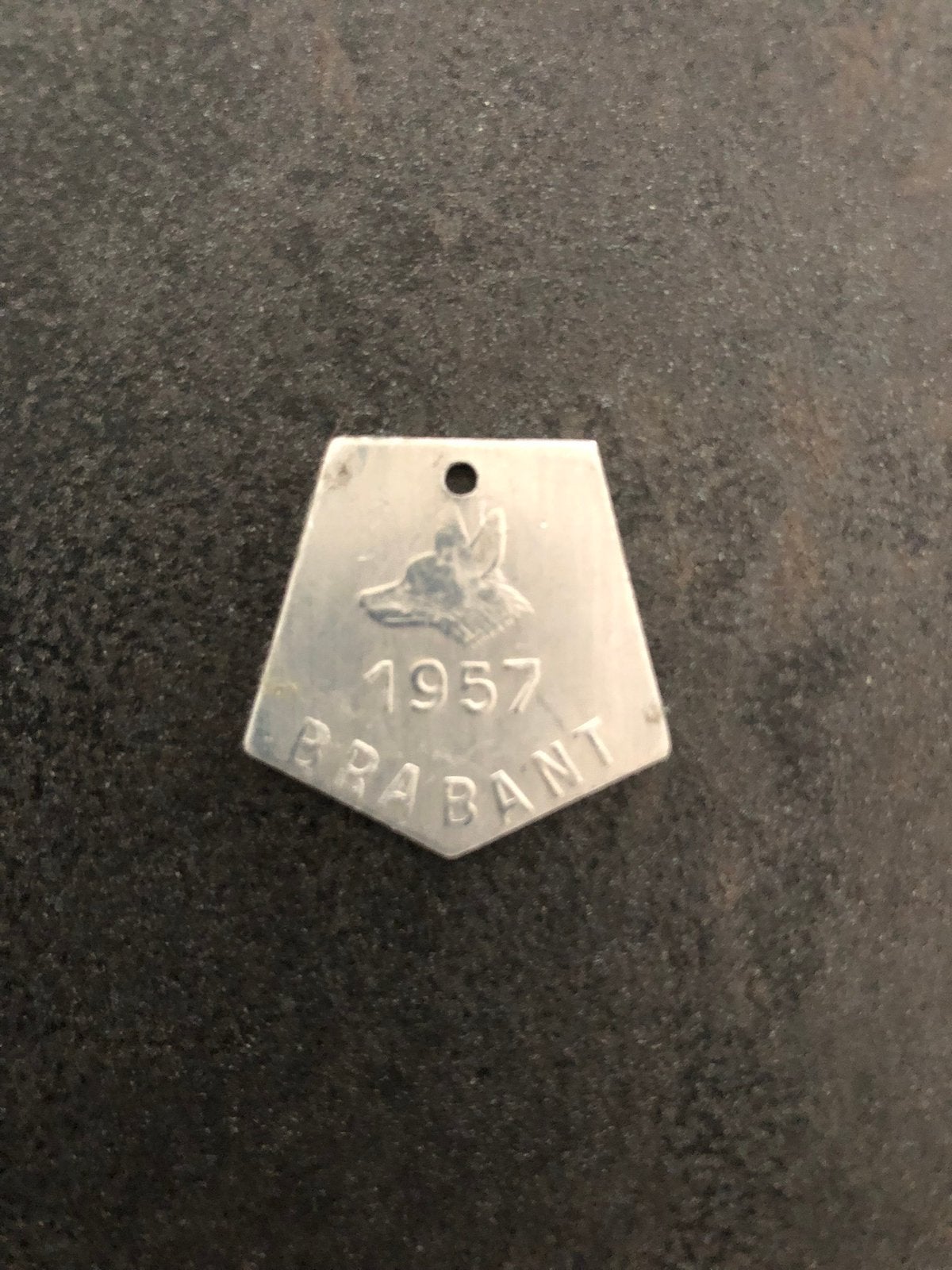 Hondenpenning 1957 Brabant Met nummer op achterkant., Dieren en Toebehoren, Ophalen of Verzenden, Zo goed als nieuw