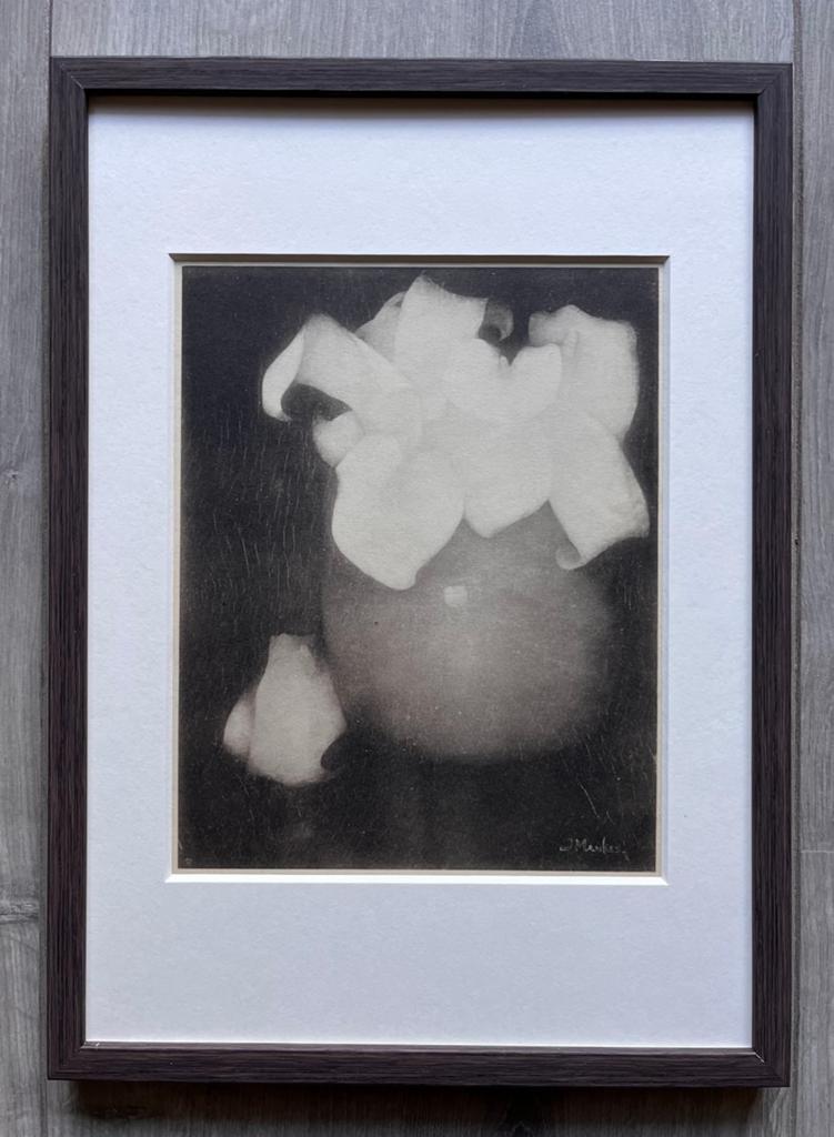 Jan Mankes 1889-1920 / Heliogravure Aronskelken 1923, Antiek en Kunst, Kunst | Etsen en Gravures, Ophalen of Verzenden