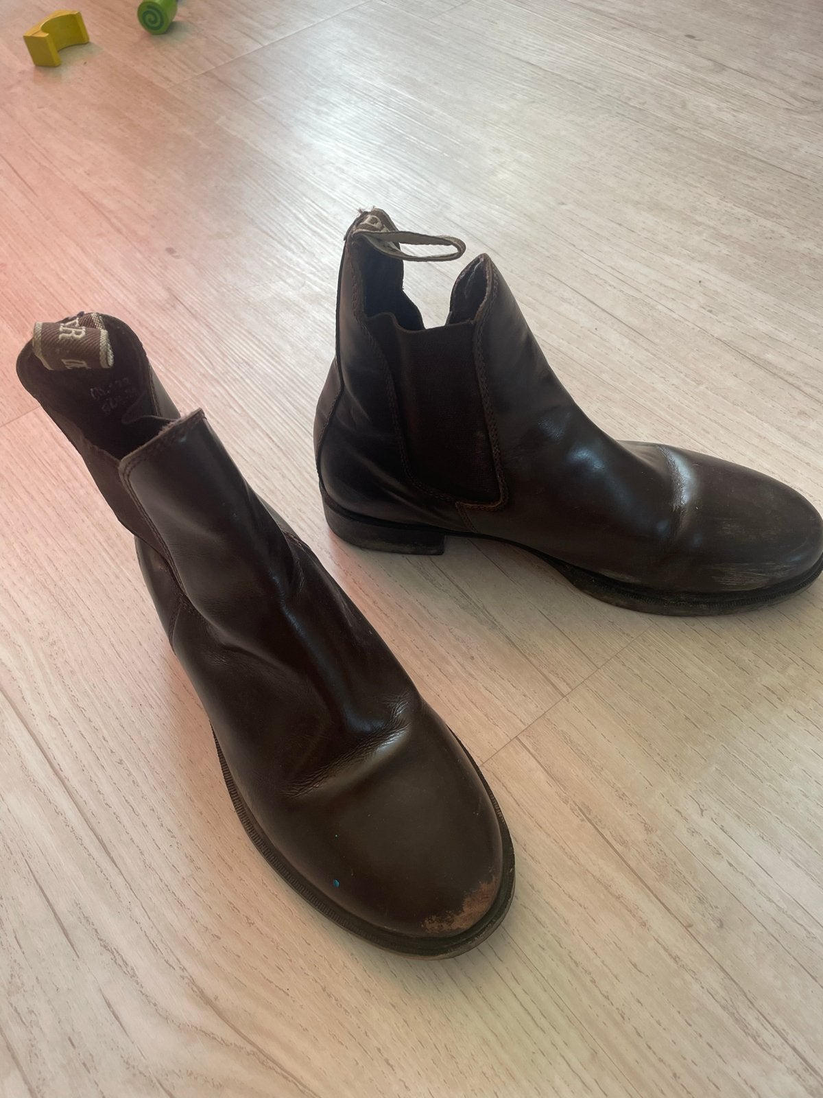 Paardrijschoenen leder maat 35 met gratis chaps, Dieren en Toebehoren, Gebruikt, Kinderen, Overige soorten, Ophalen of Verzenden