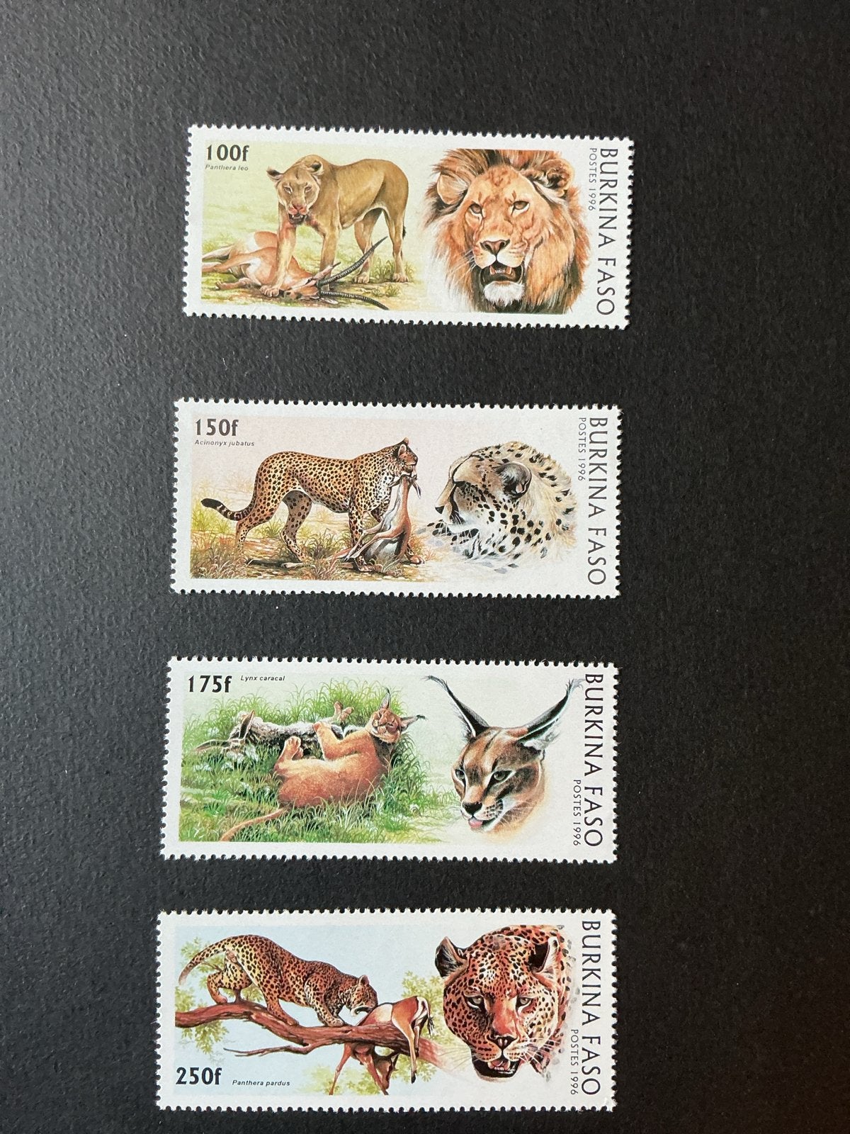 Burkina Faso 1996 - Wilde Katten Serie, Verzenden, Overige landen, Postfris