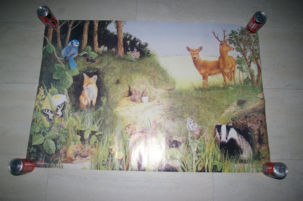 Poster met dieren uit het bos. 92 x 61 cm, Ophalen of Verzenden, A1 t/m A3, Dier of Natuur