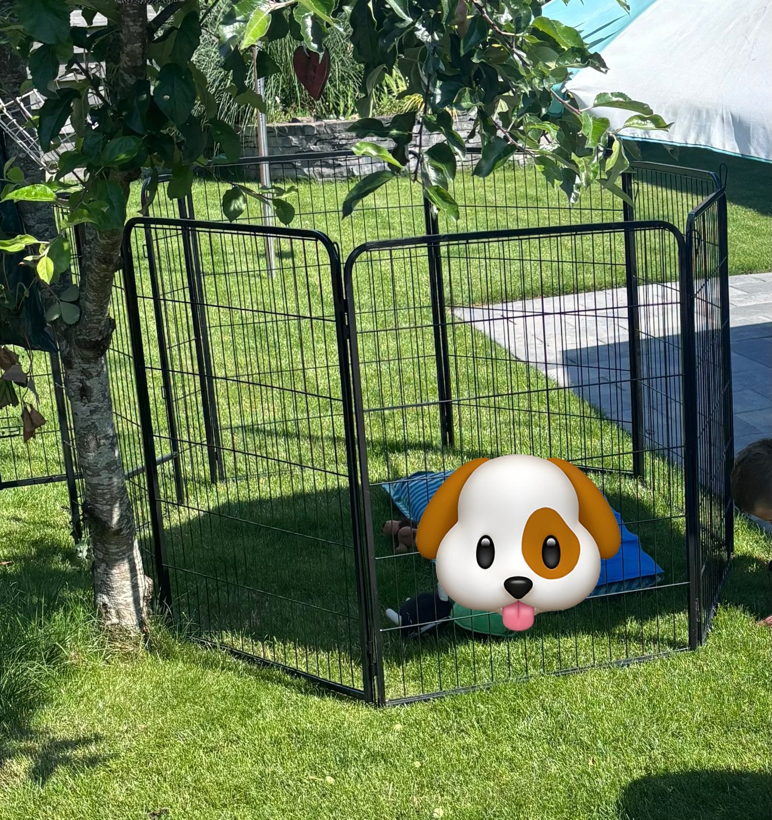 Puppyren - 100cm hoog- 8 panelen - opbouwbaar- uitbreidbaar, Ophalen, Zo goed als nieuw