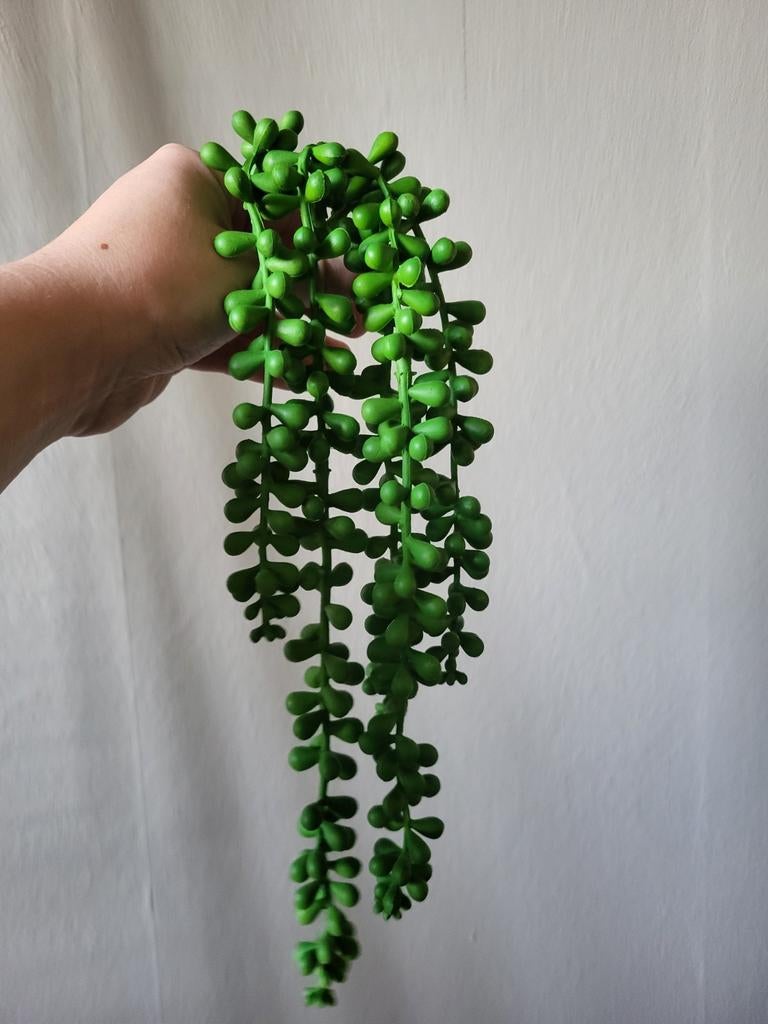 Neppe Erwtenplant - Kunstplant String of Pearls, Binnen, Groen, Kunstplant, Nieuw