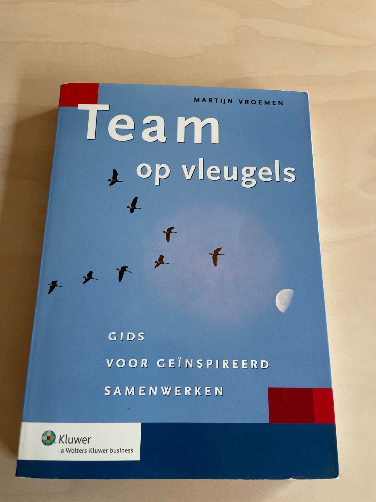 Team op vleugels - Martijn Vroemen, Boeken, Verzenden, Gamma, Gelezen, HBO