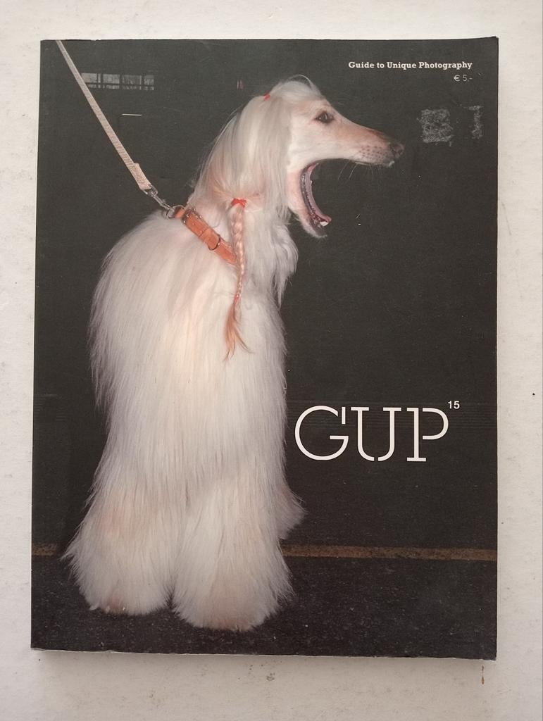 GUP Magazine 15 - Guide to Unique Photography, Ophalen of Verzenden, Gelezen, Fotografie algemeen, Diverse auteurs