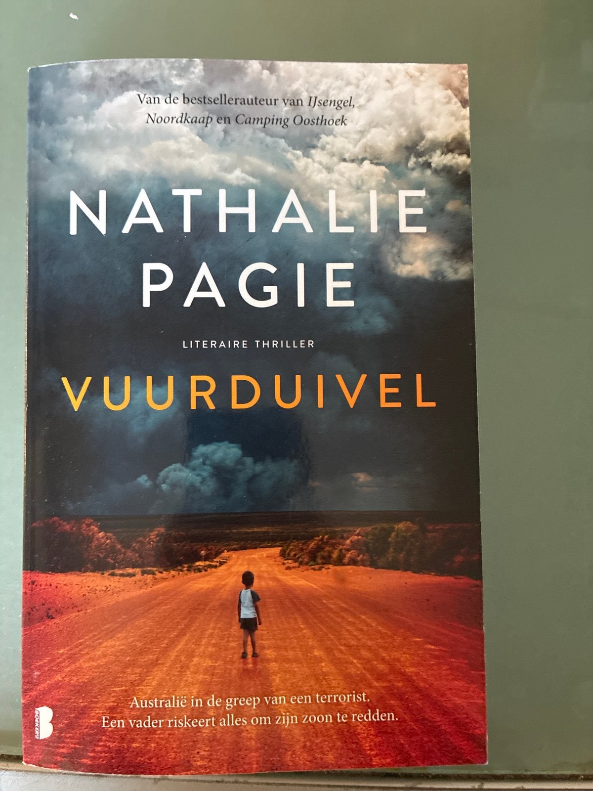Nathalie Pagie - Vuurduivel (Literaire thriller), Ophalen of Verzenden, Gelezen, Nederland