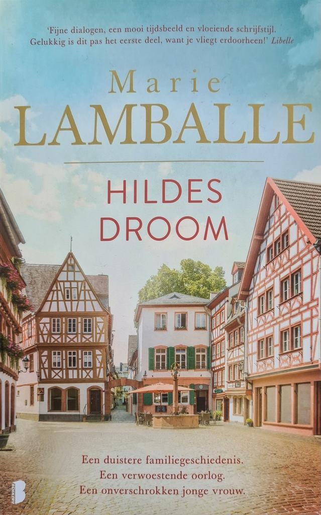 Hildes Droom - Marie Lamballe (Roman), Ophalen of Verzenden, Zo goed als nieuw