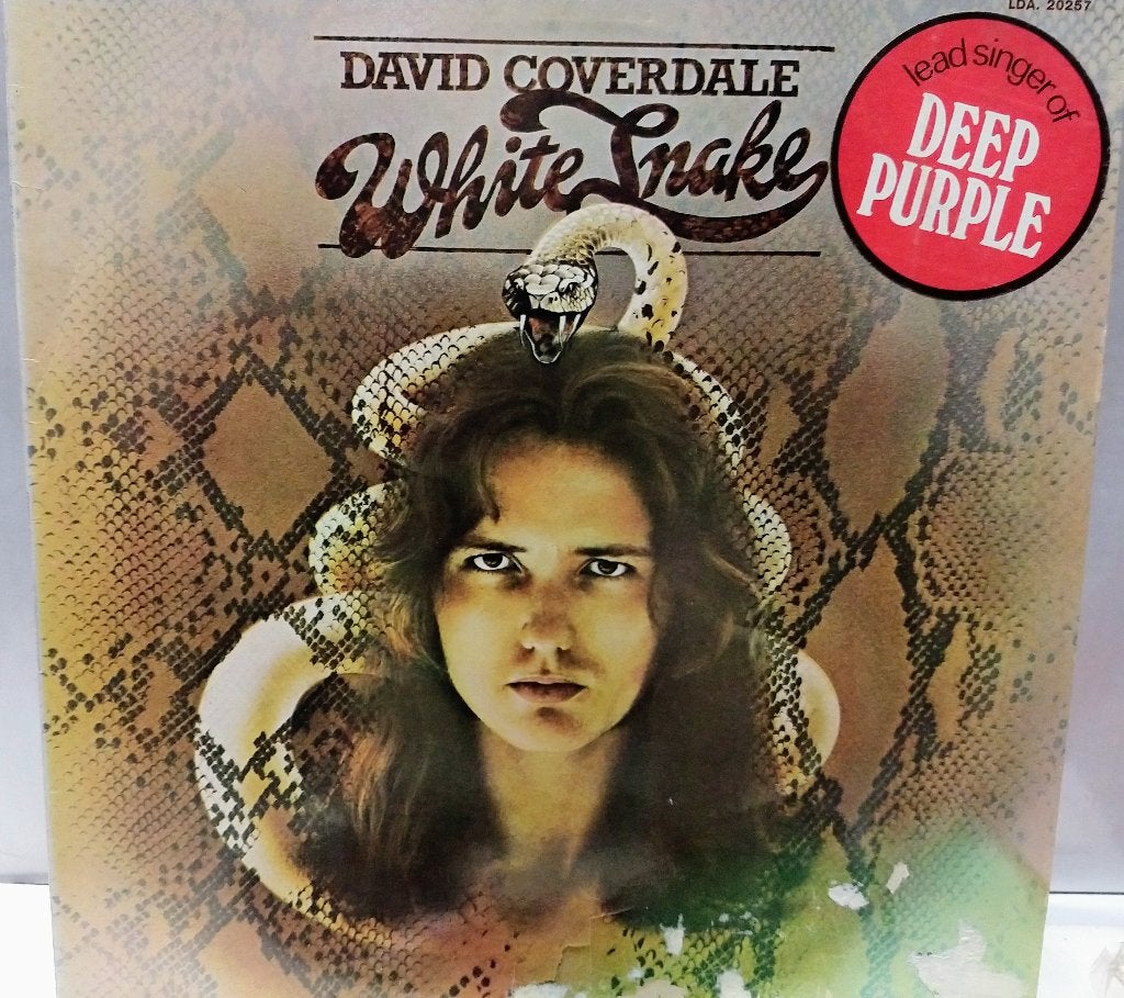 David Coverdale -  Whitesnake, Cd's en Dvd's, LP, Gebruikt, Ophalen of Verzenden, 12 inch