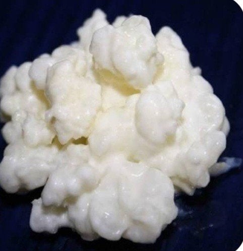 melk kefir, Diversen, Ophalen
