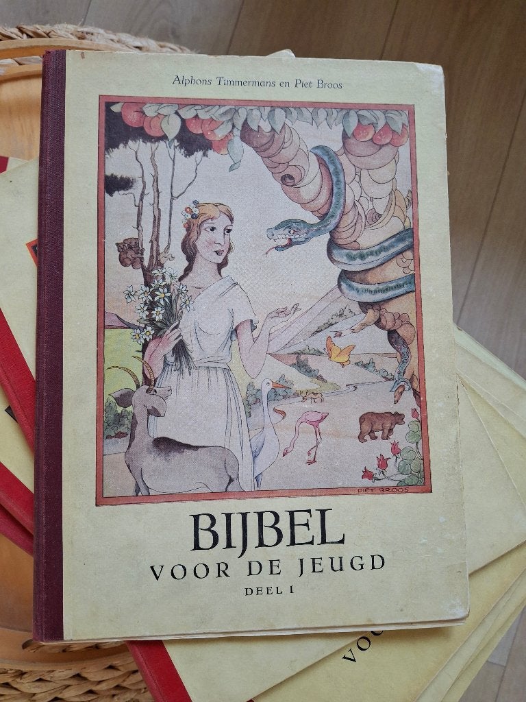 Bijbel voor de jeugd deel 1 OT t/m 12 NT, Gelezen, Christendom | Katholiek, Ophalen of Verzenden, Alphons Timmermans en Piet Broos