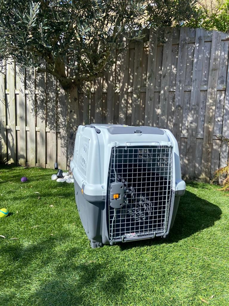 Skudo Transportbox voor hond IATA maat M, Ophalen, Zo goed als nieuw