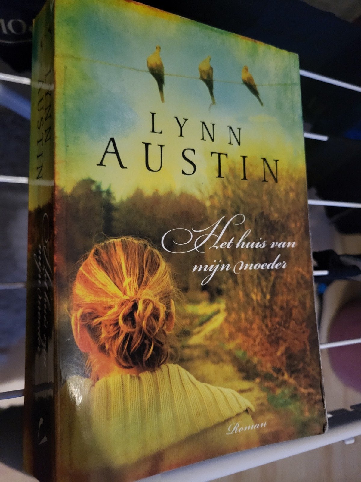 Het huis van mijn moeder - Lynn Austin (Roman), Ophalen of Verzenden, Zo goed als nieuw, Lynn Austin, Nederland