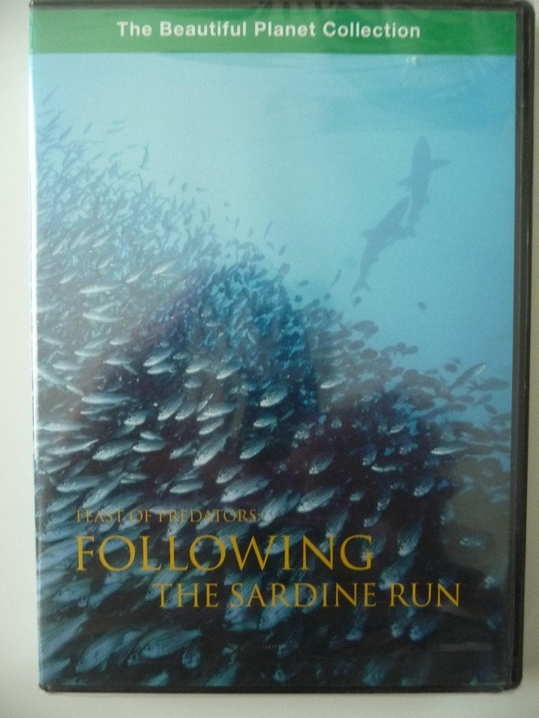 G44: Following the sardine run (in plastic), Alle leeftijden, Ophalen of Verzenden, Nieuw in verpakking, Natuur