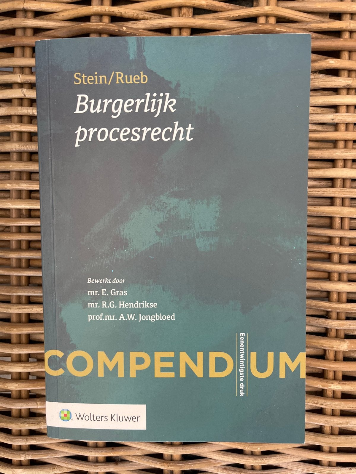 Stein/Rueb Burgerlijk procesrecht Compendium, Boeken, Studieboeken en Cursussen, Ophalen of Verzenden, Gamma, Zo goed als nieuw