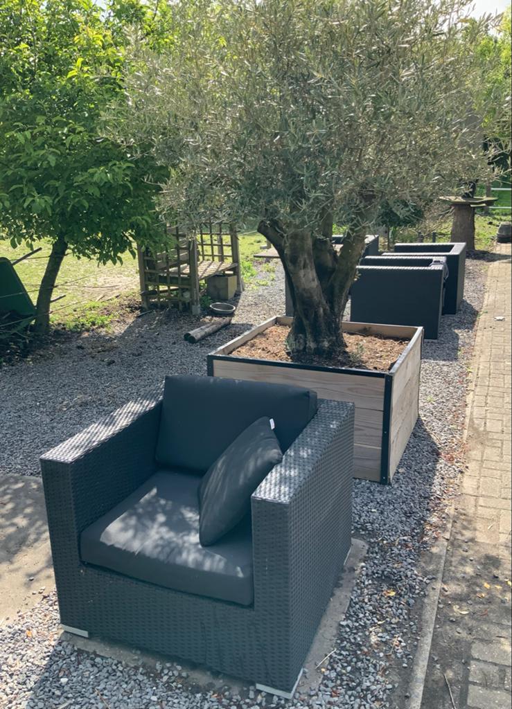 Set van 4 Arbrini lounge fauteuils met kussens, Ophalen, 4 zitplaatsen, Zo goed als nieuw, Loungeset