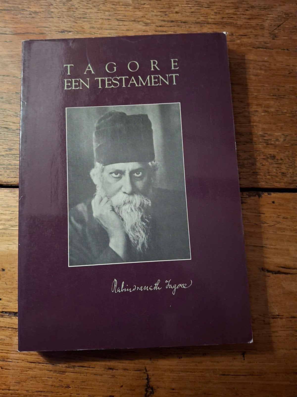 Tagore. Een testament., Boeken, Ophalen of Verzenden, Gelezen
