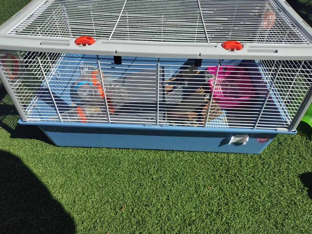 Hamsterkooi, Ophalen, Minder dan 75 cm, Kooi, Minder dan 60 cm