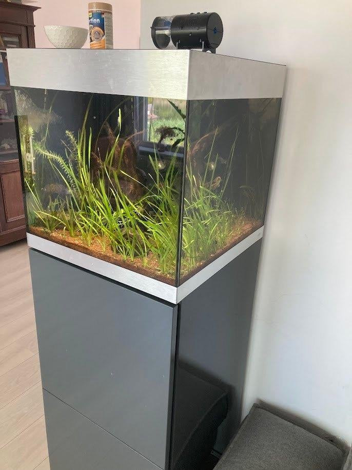 Aquarium Oase Highline 125L, Dieren en Toebehoren, Ophalen, Oase, Zo goed als nieuw, Leeg aquarium