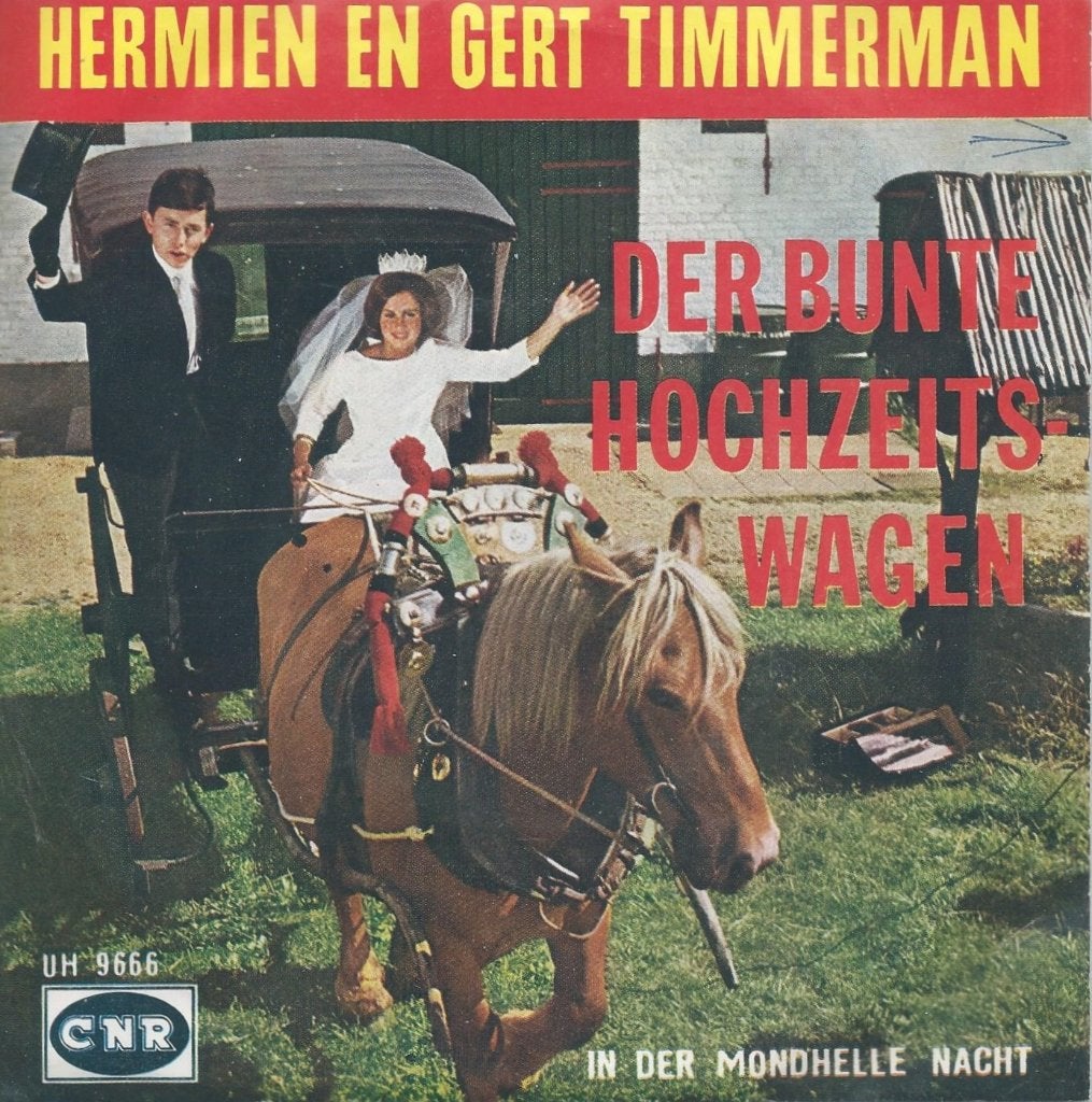 Vinyl Single Hermien & Gert Timmerman, Ophalen of Verzenden, Gebruikt, Pop
