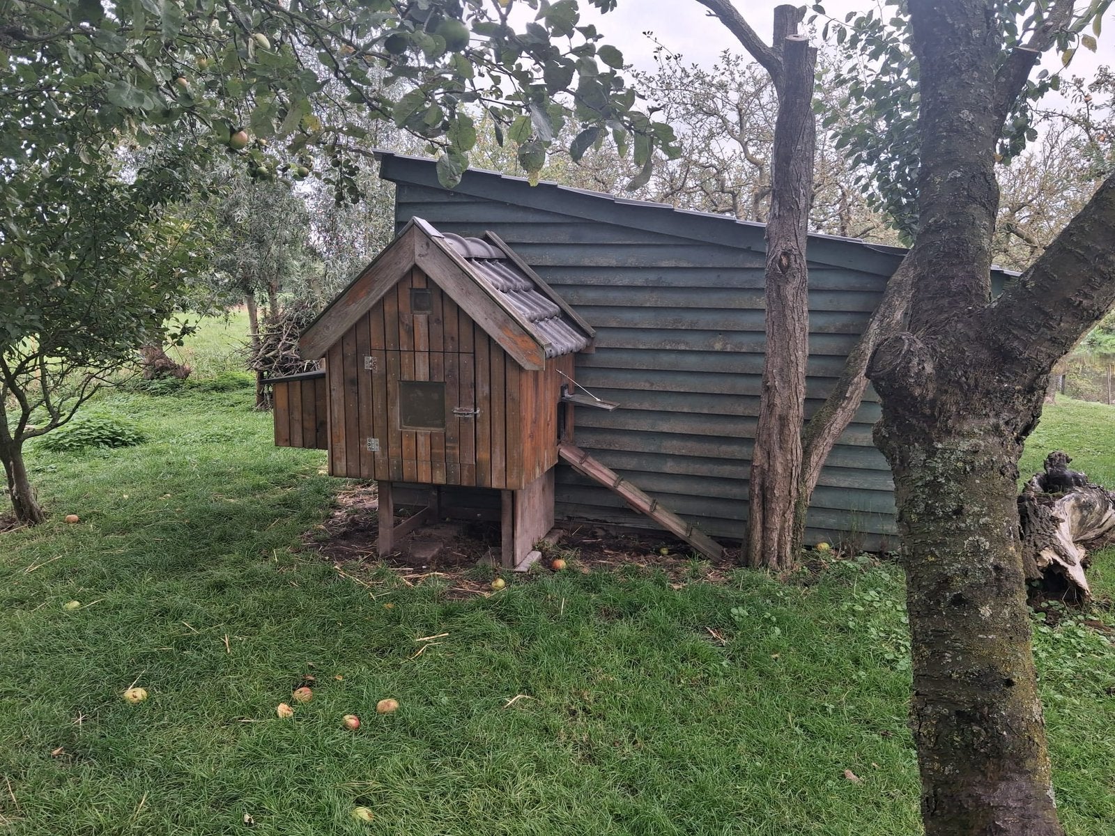 Prachtig kippenhok, Ophalen, Gebruikt, Kippenhok of Kippenren
