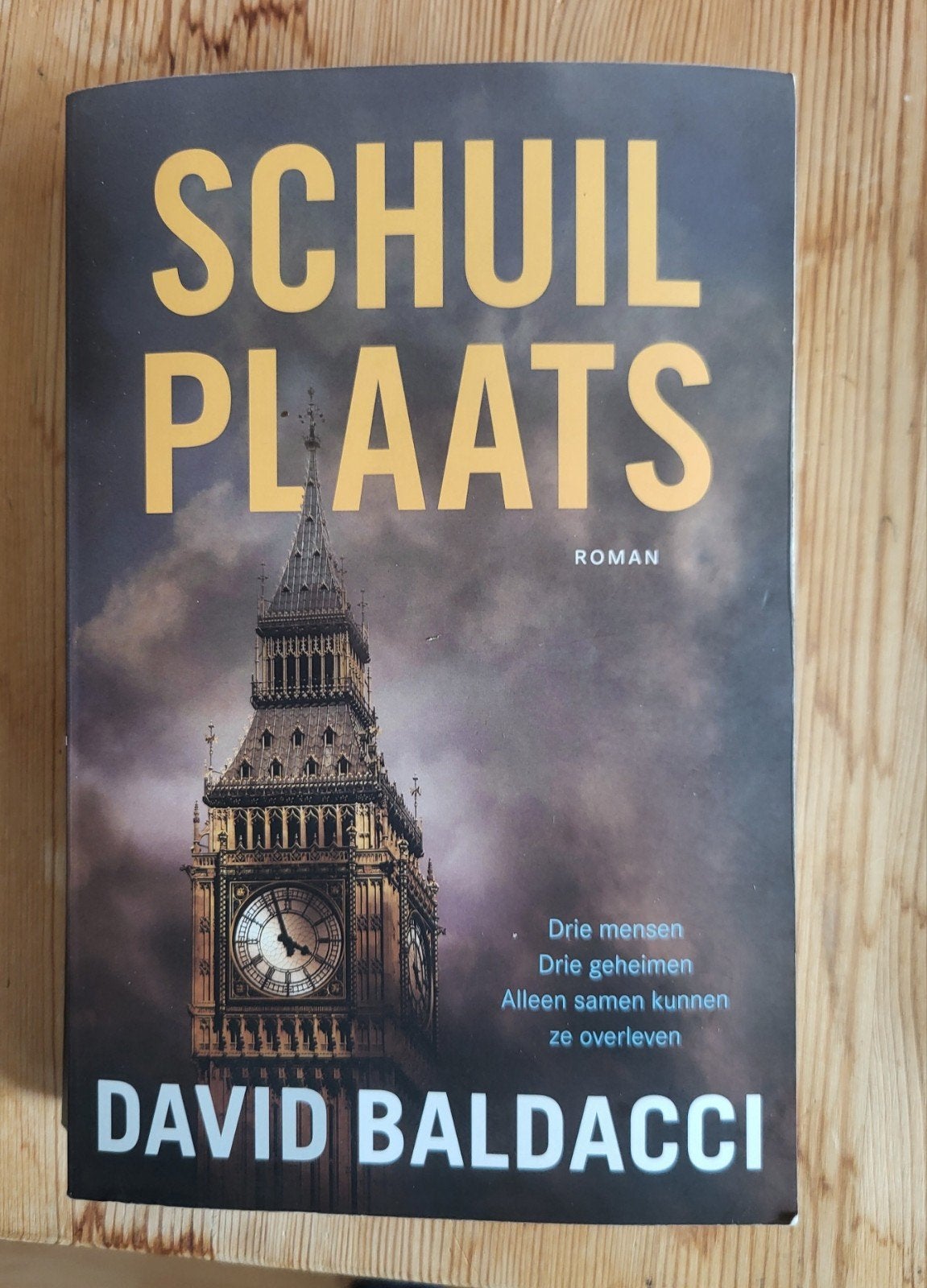David Baldacci - :Schuilplaats, Boeken, Romans, Gelezen, David Baldacci, Ophalen of Verzenden, Amerika