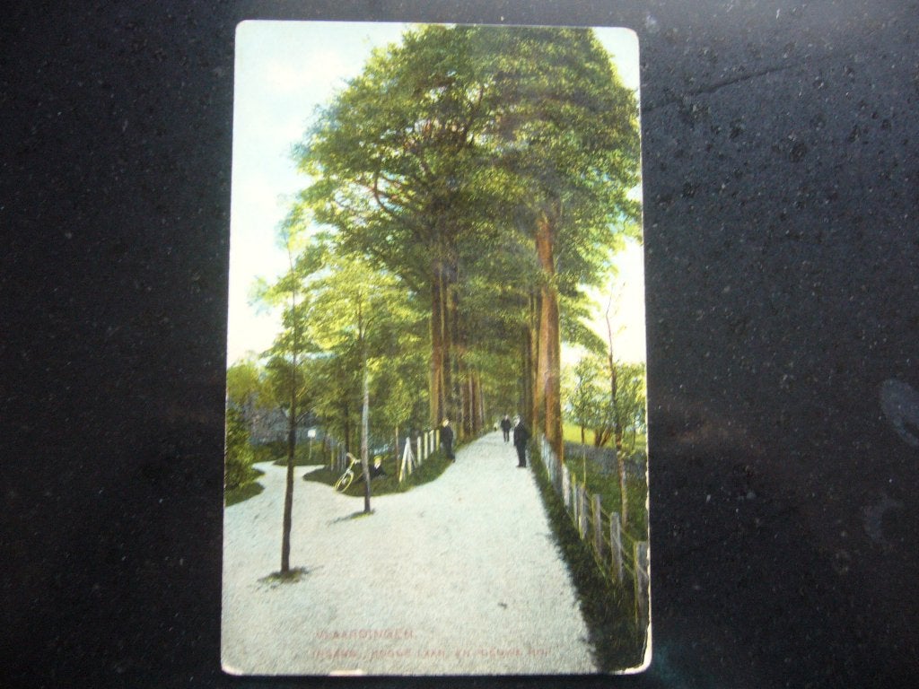 VLAARDINGEN  =  INGANG HOOGE LAAN EN NIEUWE HOR  BRIEFKAART, Ophalen of Verzenden, Voor 1920, Gelopen, Zuid-Holland