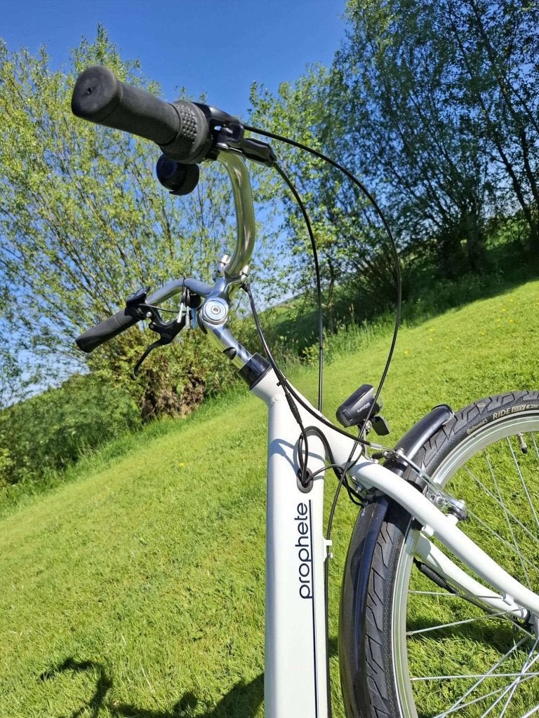 Fietshokje Houtplein: Prophete Elektrische Damesfiets- NIEUW, Fietsen en Brommers, Elektrische fietsen, Niet ingevuld, Nieuw, Ophalen of Verzenden
