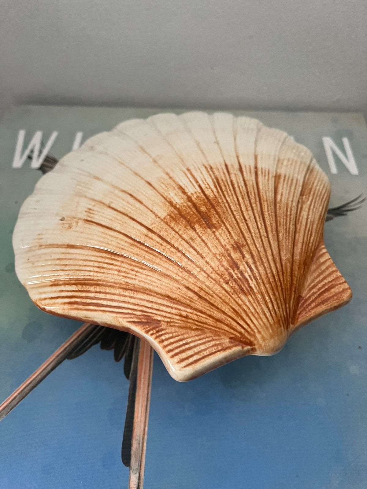 Coquille St Jacques schelp terrine van Caugant igst, Ophalen of Verzenden