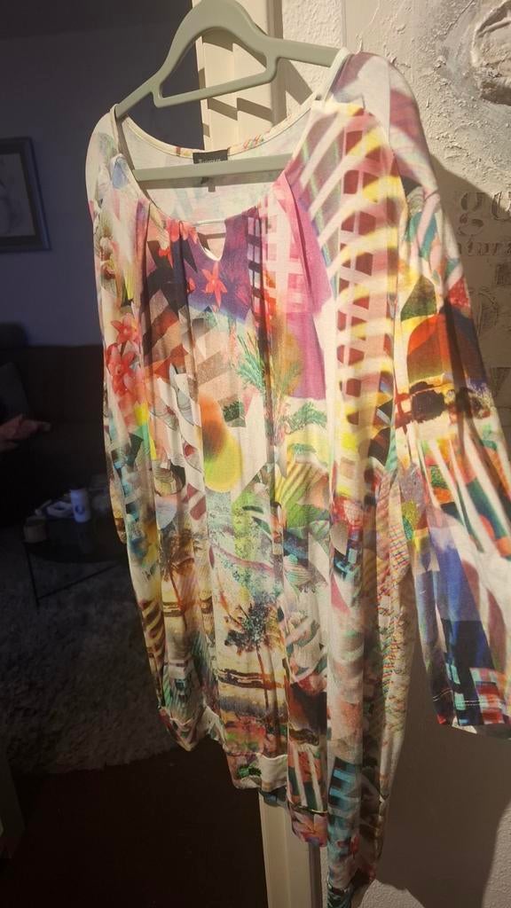 Mooi Witteveen truitje XXL - Diverse kleuren, Kleding | Dames, T-shirts, Overige kleuren, Maat 46/48 (XL) of groter, Ophalen of Verzenden