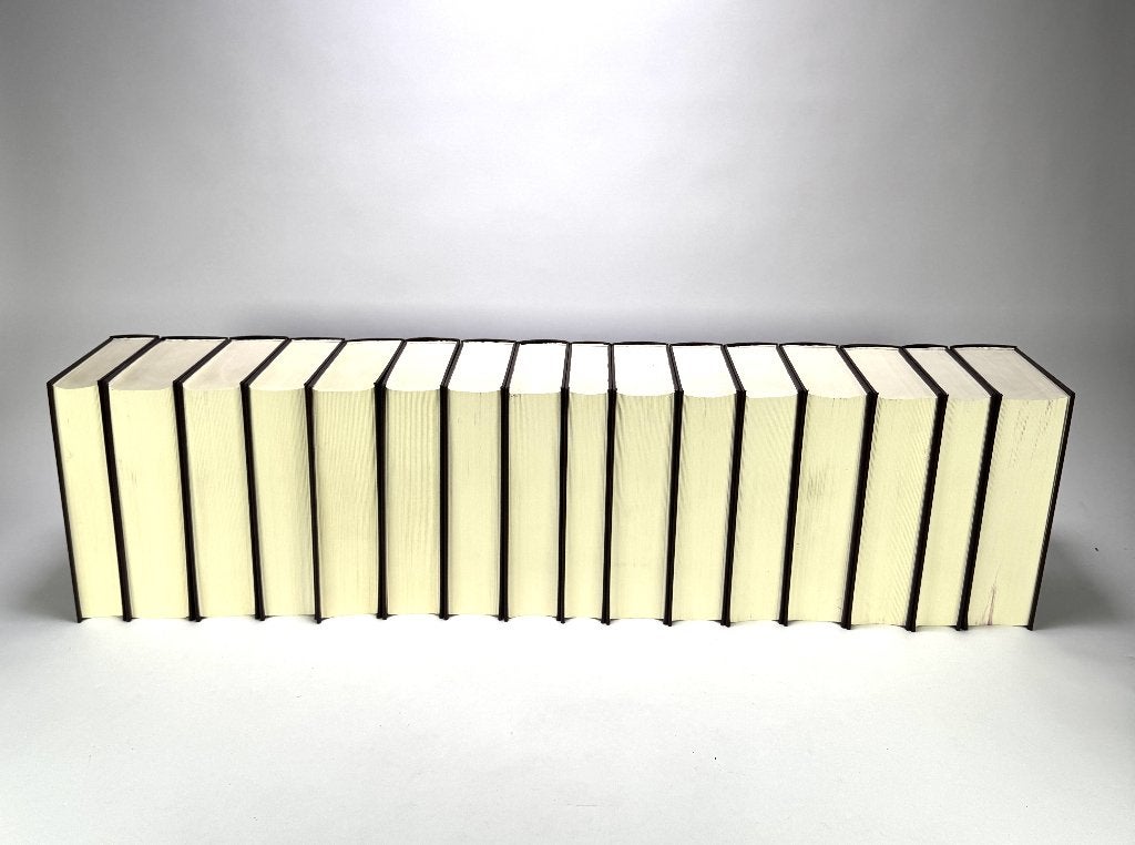 118. Johannes Calvijn - Verklaring van de Bijbel, 2004, Antiek en Kunst, Ophalen, Bijbel